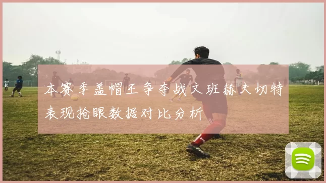 本赛季盖帽王争夺战文班赫夫切特表现抢眼数据对比分析